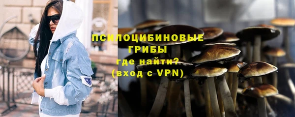СК Вяземский