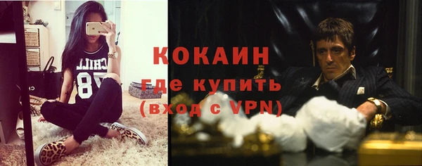 дурь Горняк