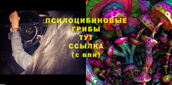 СК Вяземский