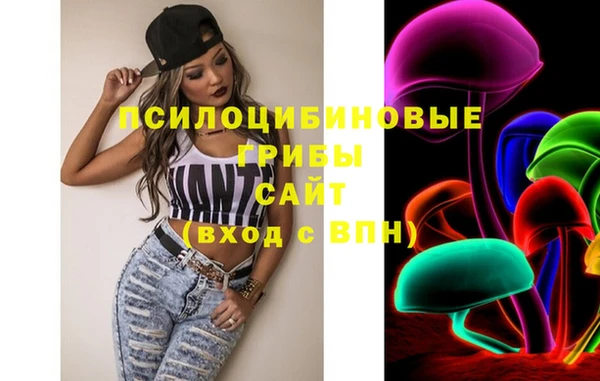 СК Вяземский